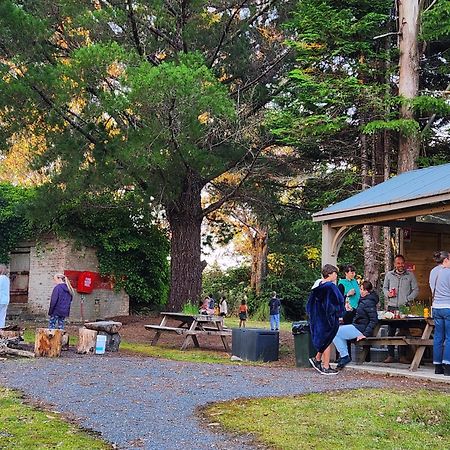 Zeehan Bush Camp Exterior photo